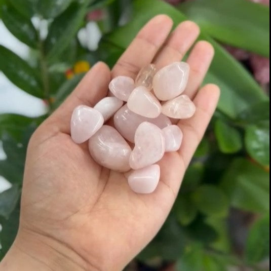 Small Rose Quartz Polished crystal