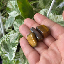 Load image into Gallery viewer, Small Tiger Eye Polished Stone