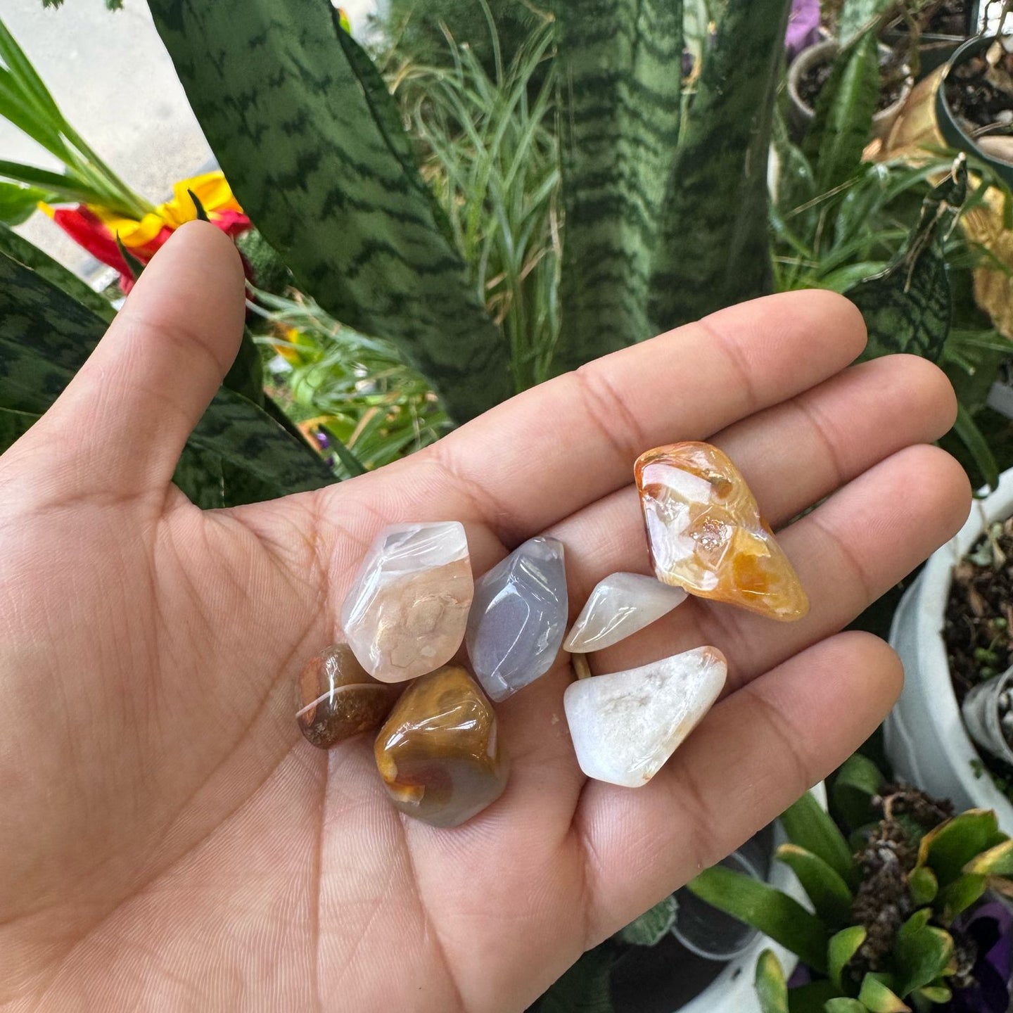 Small Floral Agate Polished Stone