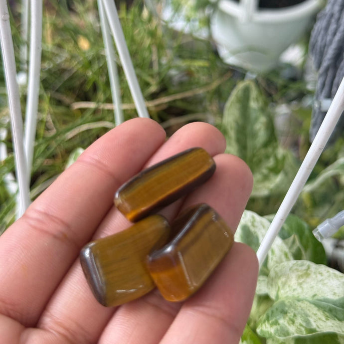 Small Tiger Eye Polished Stone