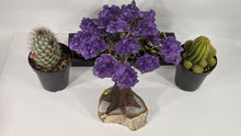 Load image into Gallery viewer, Amethyst Tree Of Life set on Agate Base, Tree Gemstone, Healing Gemstone tree, quartz tree, chakra tree