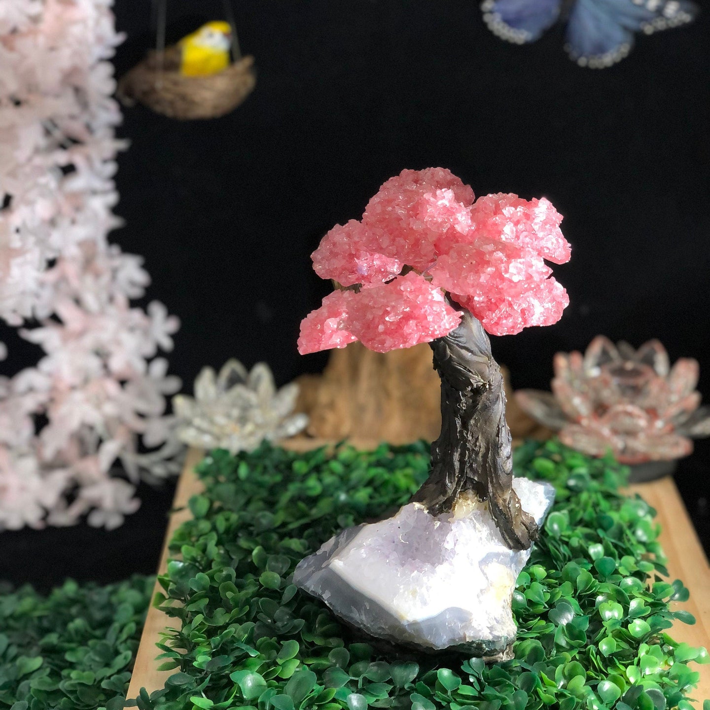 Rose Quartz Clustered Gemstone Tree on Amethyst Matrix The Love Tree Genuine, Bonsai Tree Rose Quartz