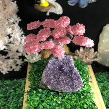 Load image into Gallery viewer, Rose Quartz clustered Gemstone tree on amethyst base, the love tree genuine