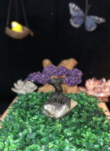 Load image into Gallery viewer, Amethyst Tree Of Life, Amethyst  Tree, Gemstone Healing, Gemstone tree, Quartz Tree, Raw Amethyst Cluster