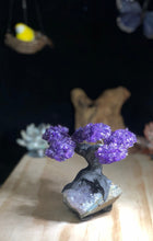 Load image into Gallery viewer, Amethyst Tree Of Life, Amethyst  Tree, Gemstone Healing, Gemstone tree, Quartz Tree, Raw Amethyst Cluster