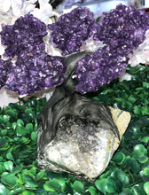 Load image into Gallery viewer, Amethyst Tree Of Life, Amethyst  Tree, Gemstone Healing, Gemstone tree, Quartz Tree, Raw Amethyst Cluster